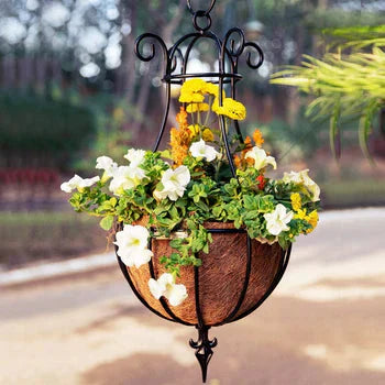 Garden Decor